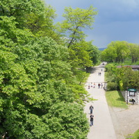 Landscape