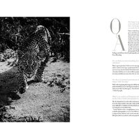 United Maverick Magazine Vol3
