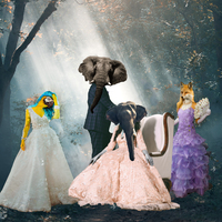 I will do photo editing and almost anything to a photo 