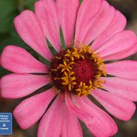 Portfolio Thumbnail 33