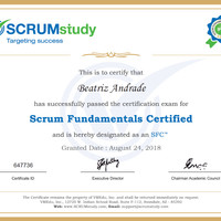 Scrum Fundamentals Certified