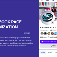 Facebook optimization  Before