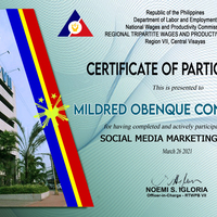 Social Media Marketing Webinar Completion Certificate