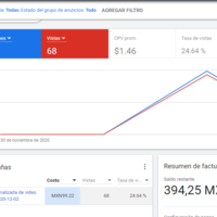 YOUTUBE ADS CAMPAIGN