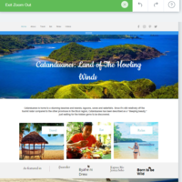 Website