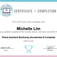 VA Bootcamp Certificate