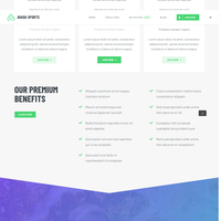 wordpress theme customization