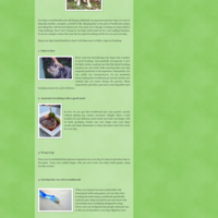 Blog