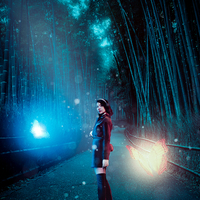 Night Companions - Photoshop