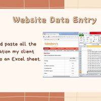 Website Data Entry