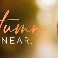 website banner2