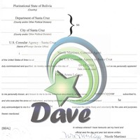 Cover Letter Sample from Embassy