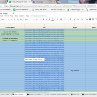 Shopify Development Product Research