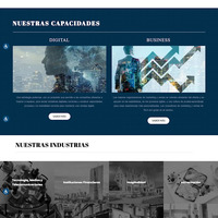Business Website