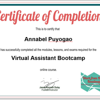 Virtual Assistant Training Certificate