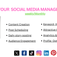 Social Media Manager