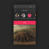 Share UI Design