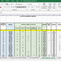 Excel Data Entry