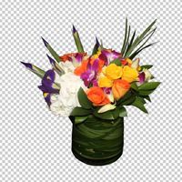 Portfolio Thumbnail 20