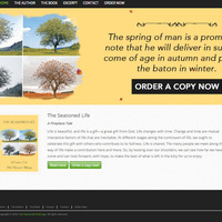 Wordpress Site