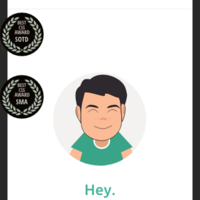 Portfolio - responsive view
