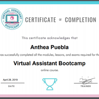 Virtual Assistant Certificate