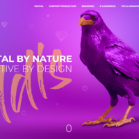 Web Design -Responsive- Digital Agency