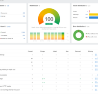 Site Audit Score 100 SoulSuccess