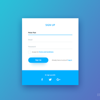 Sign Up Page UI Design