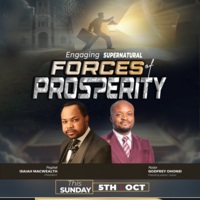 Portfolio Thumbnail 13