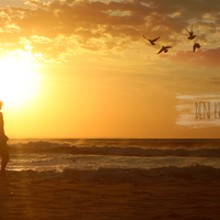 Portfolio Thumbnail 1