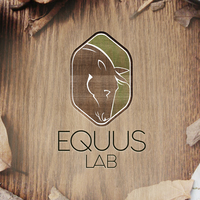 Portfolio Thumbnail 8