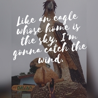 Portfolio Thumbnail 14