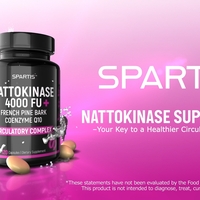 Portfolio Thumbnail 21