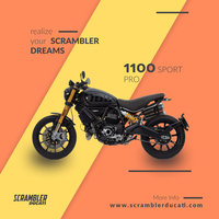 Portfolio Thumbnail 1