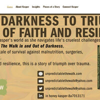 Unpredictable Book Web Site