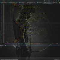 My IDE