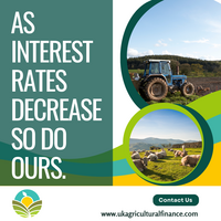 Portfolio Thumbnail 5