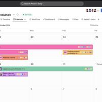Tasks records and tracking with Asana work (sample 1)