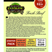 Portfolio Thumbnail 9