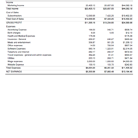 Sample Profit and Loss Report