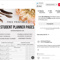 Pin with a Thousand of Website clicks 