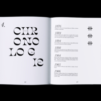 Brancusi, Essence de la matière - art book