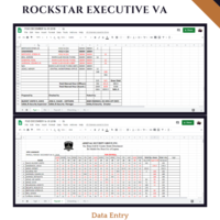 Data Entry using Excel spreadsheet