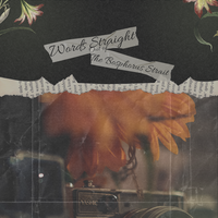 Portfolio Thumbnail 14