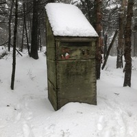Along the Long Trail in Vermont