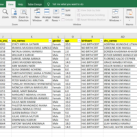 Data entry using excel