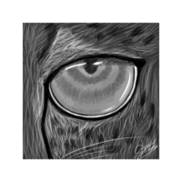 Concept Art for a Social Media post.