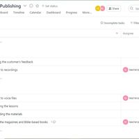 Asana Management Sample