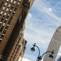 Portfolio Thumbnail 2